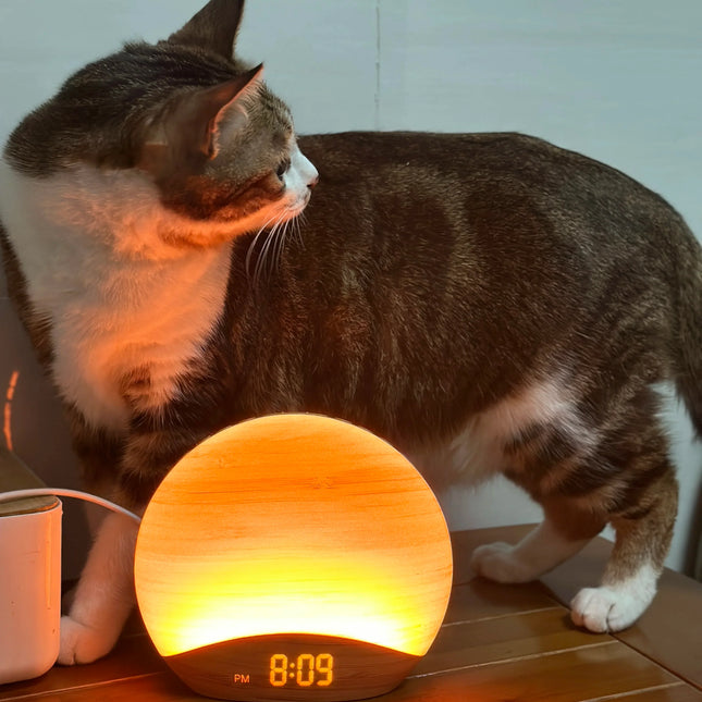 Wake-up light med naturliga ljud